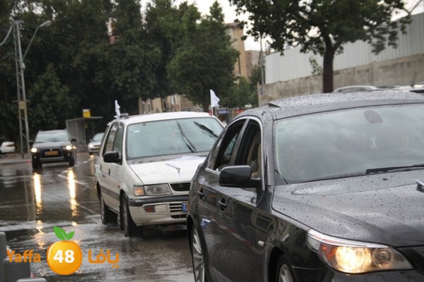 qafela sayarat haiywa (11).JPG